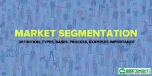 Read more about the article What is Market Segmentation? Definition, Types, Examples, Bases, Importance