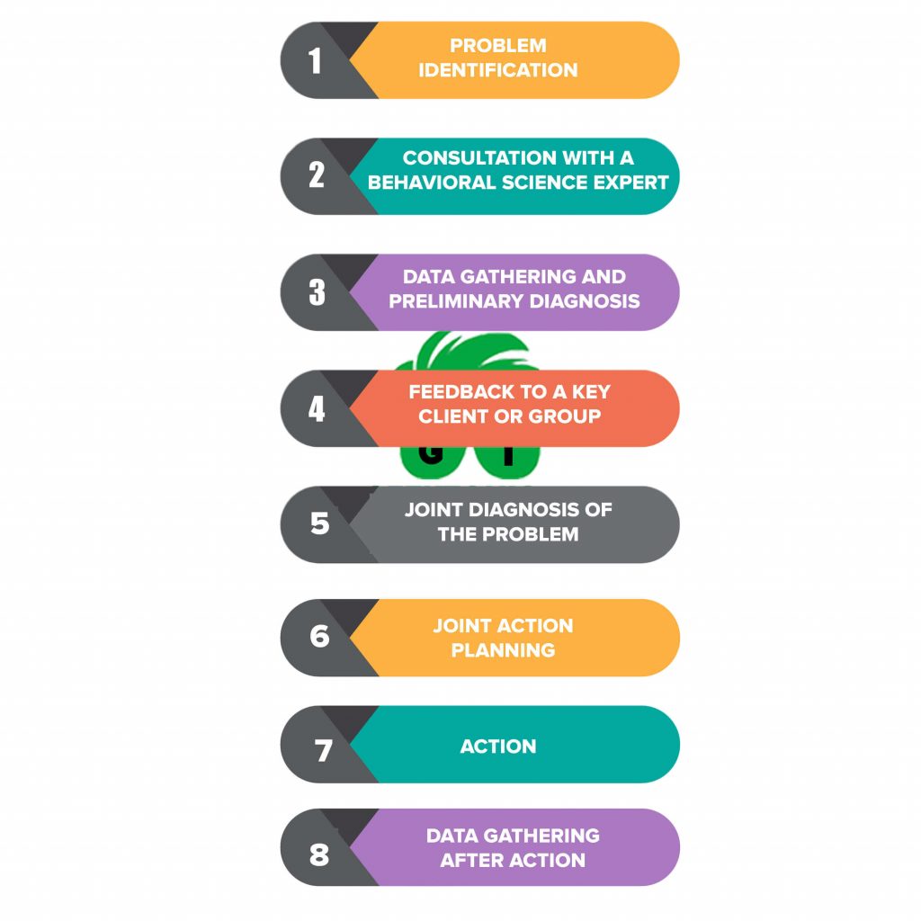 action research model for change