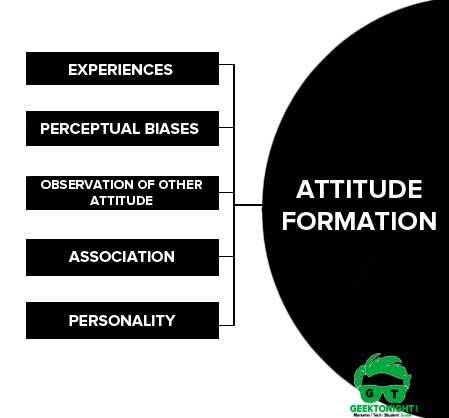 Attitude Formation