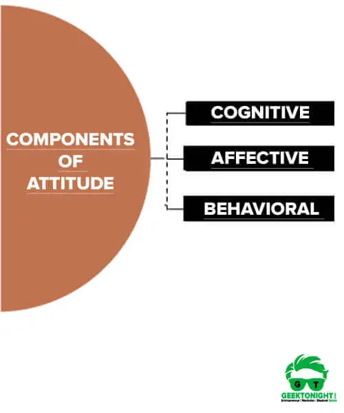 Components of Attitude
