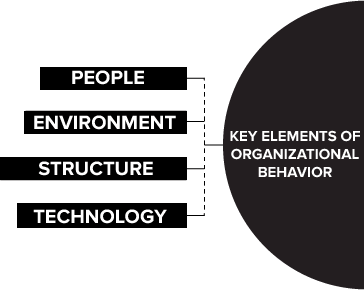 Elements of Organizational Behaviour