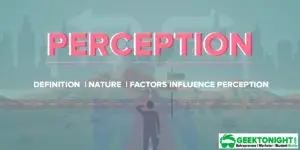 Read more about the article What is Perception? Meaning, Definition, Nature, Factors Influence, Importance