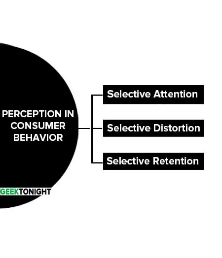 Perception in Consumer