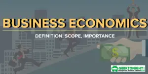 Read more about the article What is Business Economics? Definition, Scope, Importance