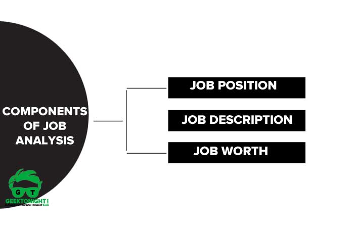 Components of Job Analysis
