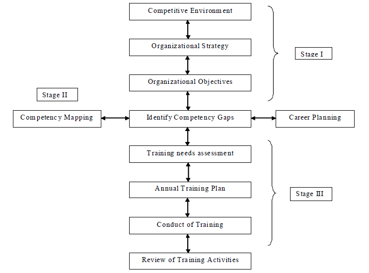 Executive Development Process