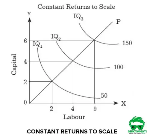 Constant Returns to Scale
