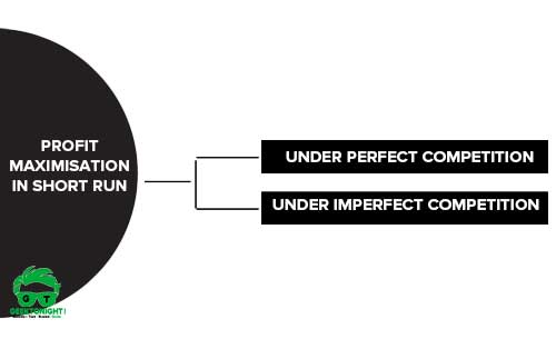 Profit Maximization in Short Run