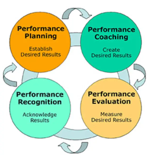 Performance Management Process